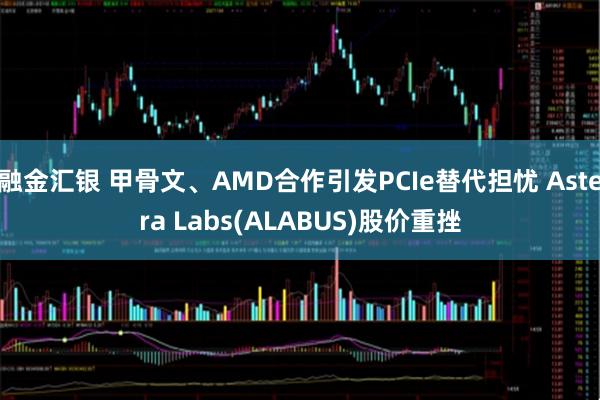 融金汇银 甲骨文、AMD合作引发PCIe替代担忧 Astera Labs(ALABUS)股价重挫