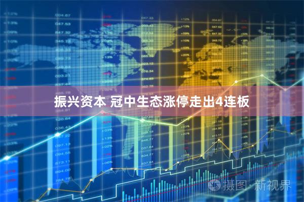 振兴资本 冠中生态涨停走出4连板