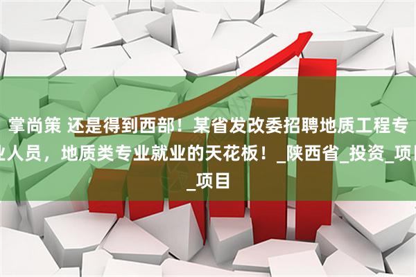 掌尚策 还是得到西部！某省发改委招聘地质工程专业人员，地质类专业就业的天花板！_陕西省_投资_项目