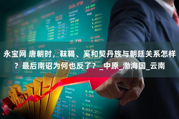 永宝网 唐朝时，靺鞨、奚和契丹族与朝廷关系怎样？最后南诏为何也反了？_中原_渤海国_云南