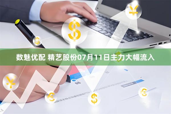数魅优配 精艺股份07月11日主力大幅流入