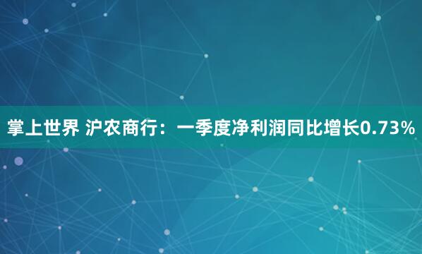 掌上世界 沪农商行：一季度净利润同比增长0.73%